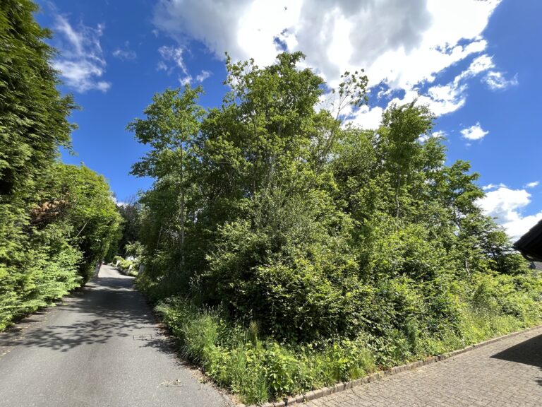 Provisionfreies 1.126 m² großes Baugrundstück  –  
Jenseits von Stress und Straßenlärm