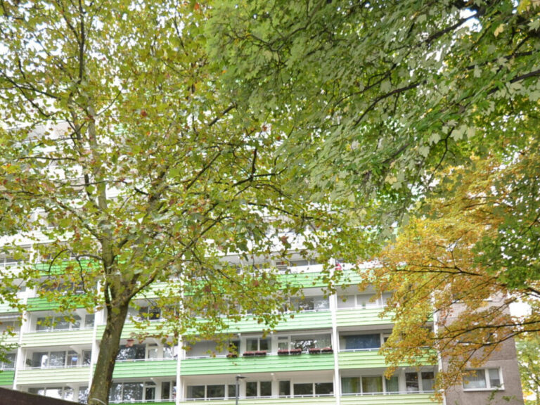 Sankt Augustin-Niederpleis:    3-Zimmer-Eigentumswohnung mit Balkon
