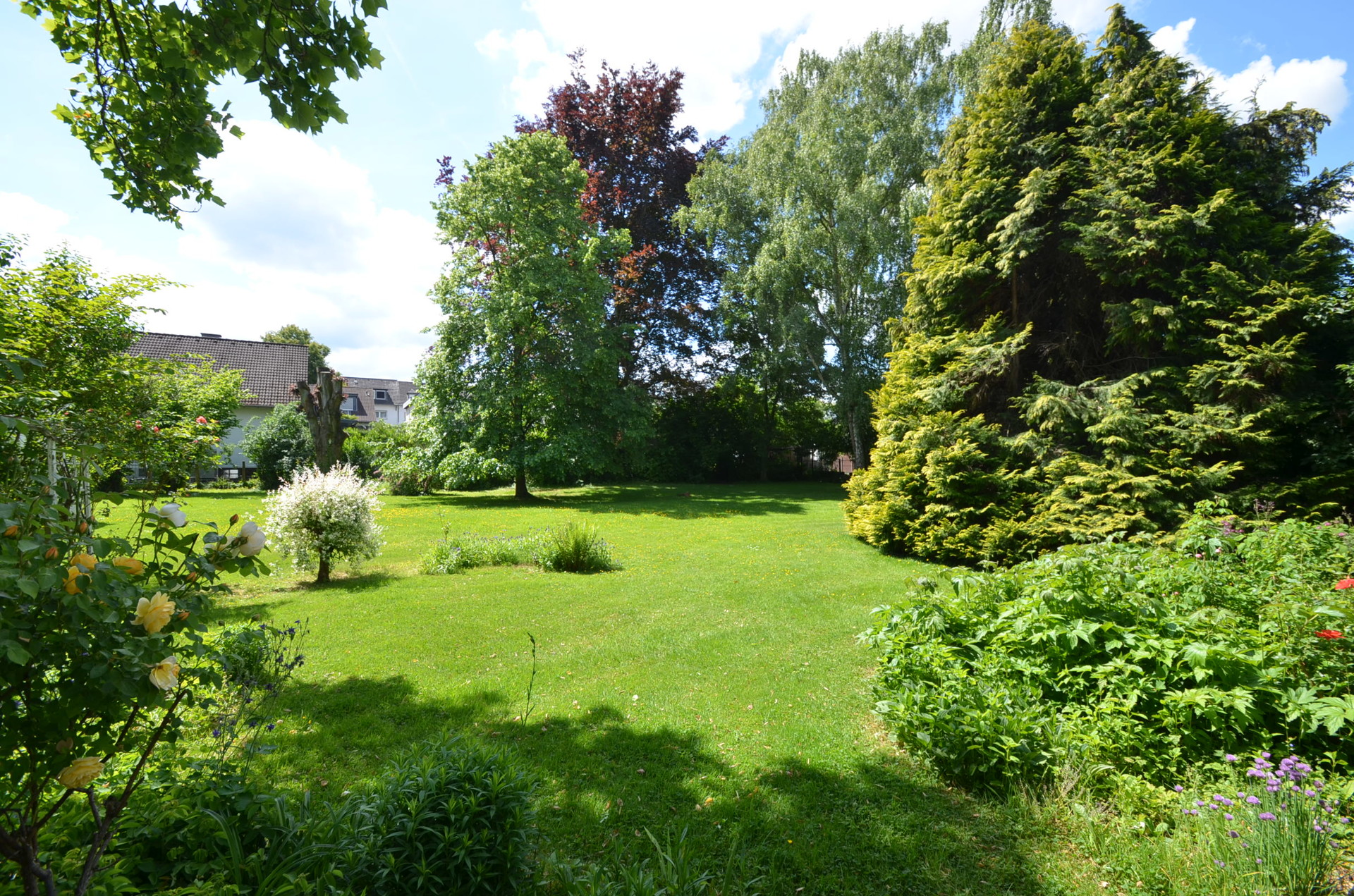 Ansicht 1