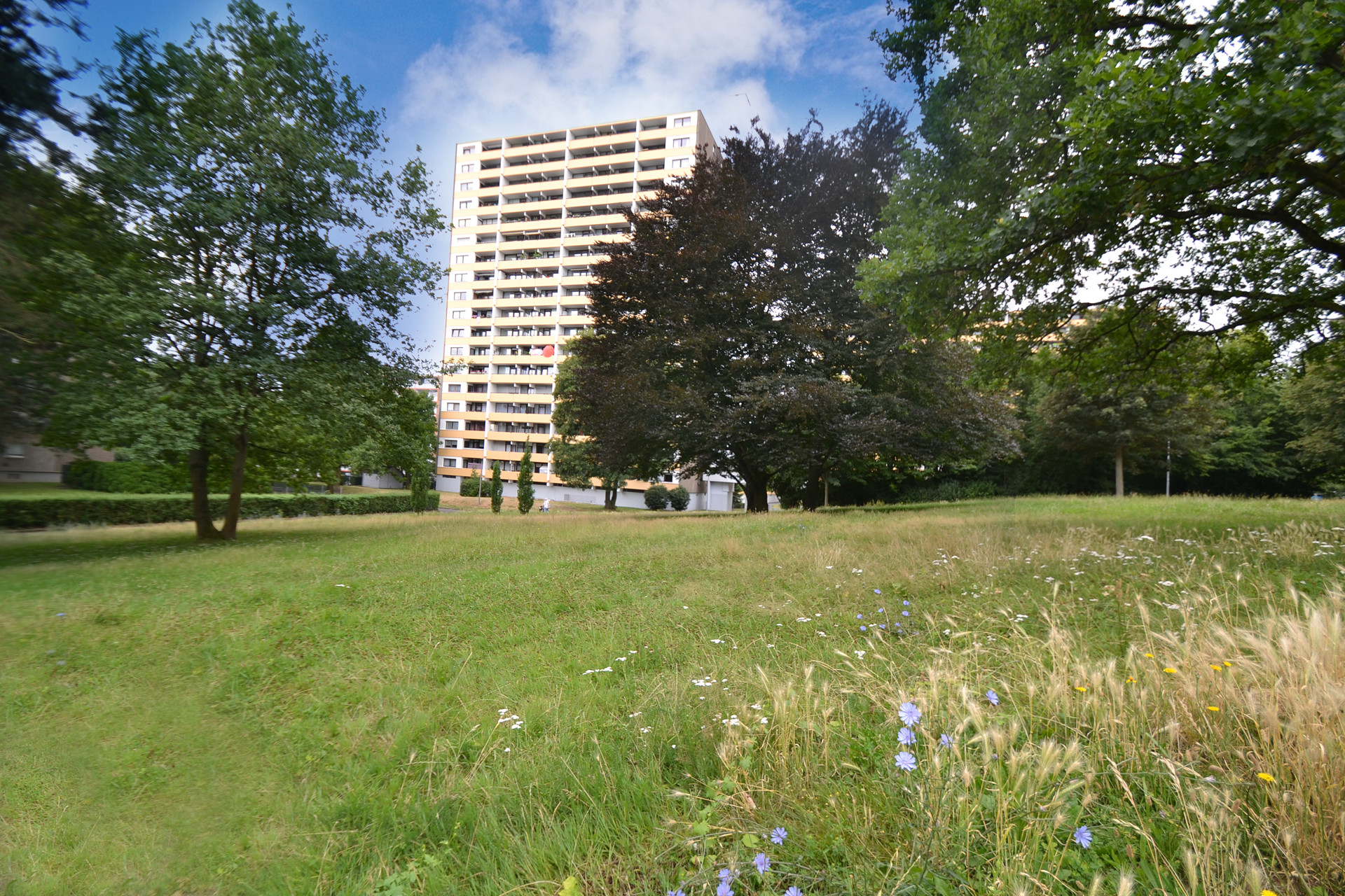 Rückansicht des Hauses