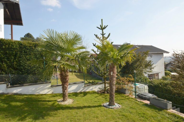 Much:  Urlaubsfeeling im eigenen Zuhause !