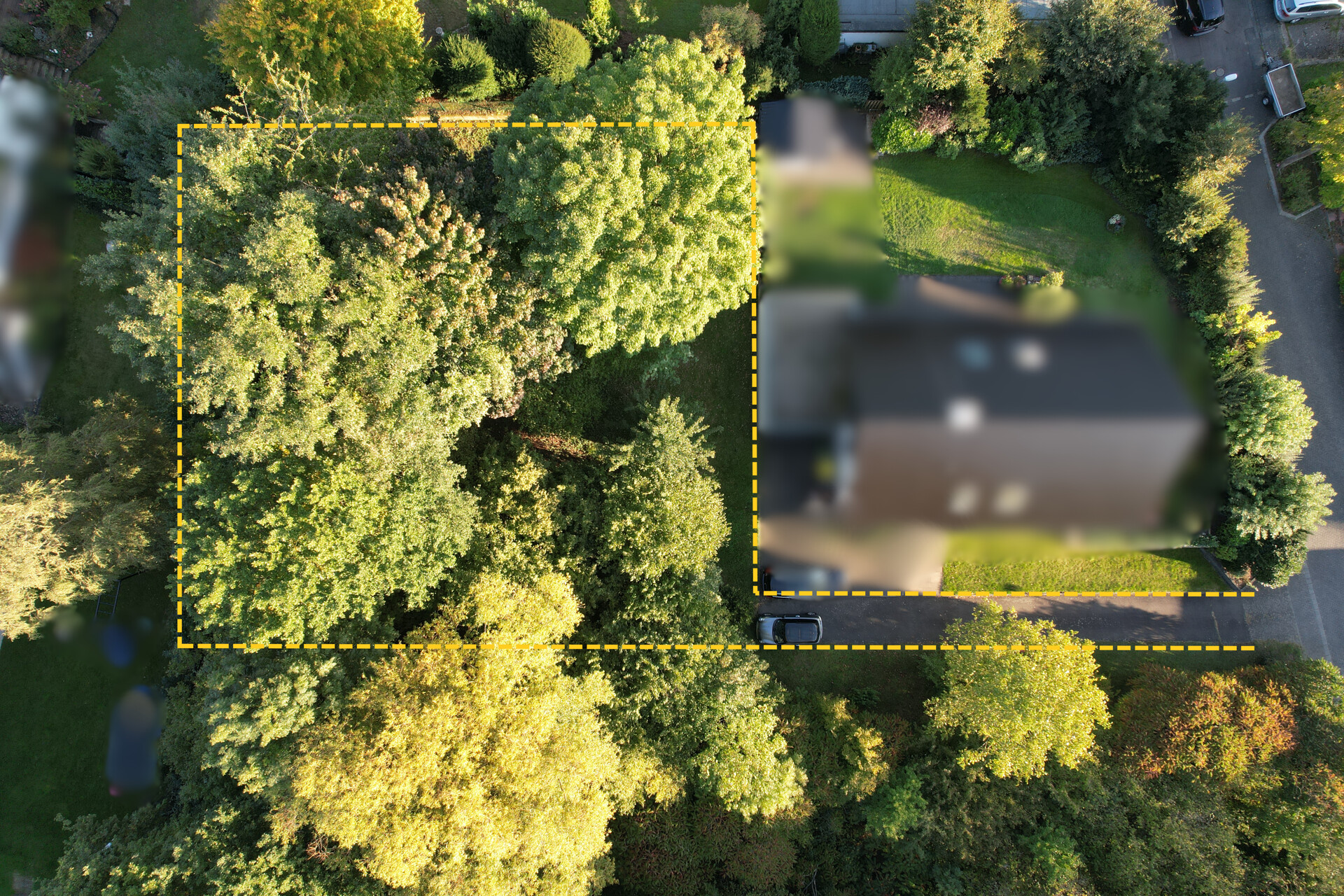 Vogelansicht des Grundstückes